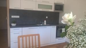 Kuchyň nebo kuchyňský kout v ubytování Apartmán Nad terasou