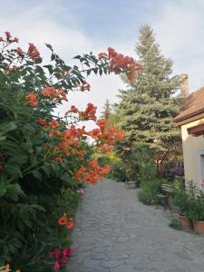 un jardín con flores naranjas y rosas en un camino en Szentesi Panzió, en Fertőrákos