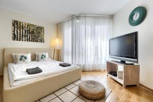 シュチェチンにあるApartament Gajaのベッドルーム(大型ベッド1台、薄型テレビ付)