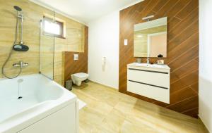 ein Badezimmer mit Waschbecken, Dusche und Toilette in der Unterkunft Casa cu Nuc in Alba Iulia + 37 Fotos