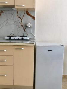 Il comprend une cuisine équipée d'un réfrigérateur blanc et d'une cuisinière. dans l'établissement Eva’s Apartment, à Golem