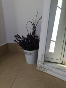 a potted plant sitting in front of a mirror at Apartman JulRich in Vrbov