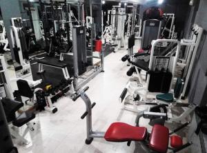 a gym with lots of cardio equipment on display at FLAMINGOS Apartman & Fitness OSIJEK - blizina Bolnice KBC Osijek in Osijek