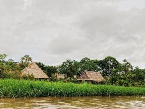 einer Gruppe von Hütten am Flussufer in der Unterkunft Iguana Lodge Perú in Iquitos
