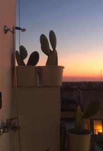 Loma-asunto – auringonlasku tai auringonnousu majoituspaikasta nähtynä