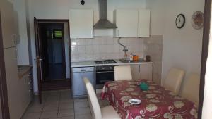 Kuchyňa alebo kuchynka v ubytovaní Apartman Tašler