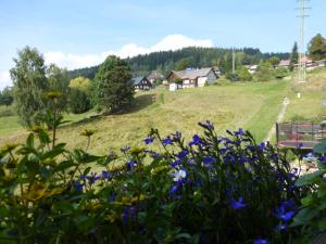 Zahrada ubytování Apartmány Ester