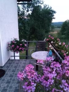 Guest House First Stop في غاكوفيتسا: طاولة وكراسي على فناء مع زهور أرجوانية