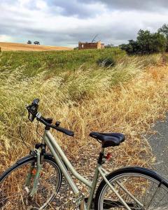 uma bicicleta estacionada ao lado de uma estrada ao lado de um campo em Amy's House Bed & Breakfast em Auburn
