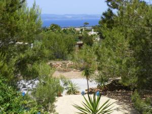 a view of the beach through the trees at Sol Y Brisa in Sant Francesc Xavier