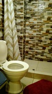 a bathroom with a toilet and a shower at B&B Chayana Wasi in Ollantaytambo