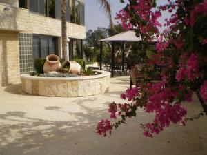 a courtyard with a fountain with pink flowers in front of a building at Marom Hotel in Haifa