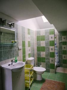 La salle de bains est pourvue d'un lavabo et de toilettes. dans l'établissement Apartmá v pivovaru Genius noci, à Lomnice