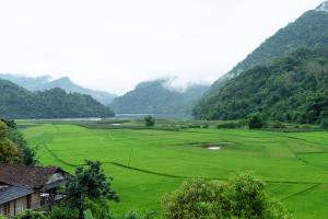 a large green field with mountains in the background at Minh Quang homestay in Ba Be +43 photos