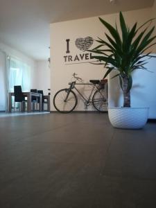 a potted plant sitting in a room with a bike at Braschi 8 B&B in Zola Predosa