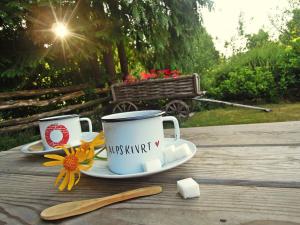 dos tazas de café en una mesa con una flor en ella en Apartma Alpski vrt en Vojsko