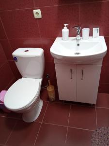 a bathroom with a toilet and a sink at Central Studio in Ternopil
