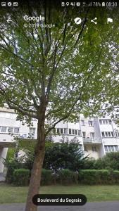 a tree in front of a white building at F3 - Séjour Paris + Disneyland - 37bd Segrais Lognes in Lognes
