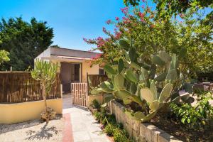 a garden with a fence and a cactus at Torre Sabea in Gallipoli