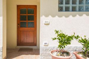 a door and a plant in front of a house at Solmar, Apartment with big terrace near nature in Portorož