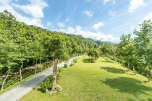 a road in the middle of a field with trees at Magnni Villa in Nanzhuang +19 photos
