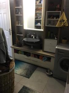 uma casa de banho com um lavatório e uma máquina de lavar roupa em Ambiance sud sauvage em Saint-Joseph