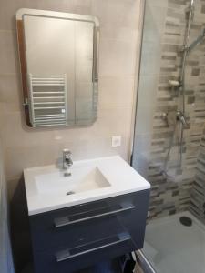 a bathroom with a sink and a shower at Le Pech de Sireuil in Groléjac