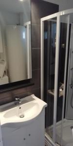 a bathroom with a white sink and a shower at Appartement Le Tréport Centre in Le Tréport