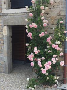 Zahrada ubytování Le Clos n°5