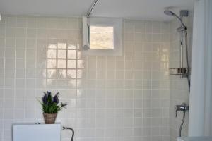 a bathroom with a toilet with a plant on top of it at Vanis House Sunset View Kythira in Kythira +14 photos