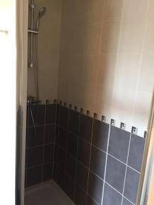 een badkamer met een douche met zwarte tegels bij Résidence Studio Grand Luxe Wifi parking privé in Vaulx-en-Velin