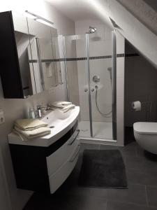 a bathroom with a shower and a sink and a toilet at FeWo Lay in Bötzingen +7 photos