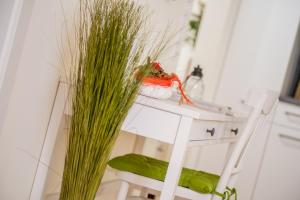Fotografia z galérie ubytovania Cityapartment Dornbirn 50 qm v destinácii Dornbirn