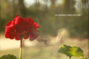 Fotografie z fotogalerie ubytování La Grange dans la Foret v destinaci Fumel