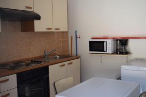 eine kleine Küche mit einer Spüle und einer Mikrowelle in der Unterkunft Les gîtes de Moussan in Montbrun-les-Bains