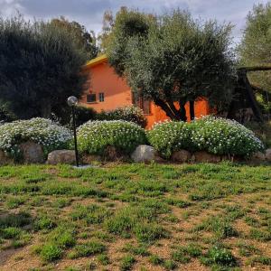 a garden of white flowers in front of a house at Stella Sulcitana in Gonnesa