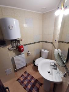 a bathroom with a white toilet and a sink at Apartament Catia in Călimăneşti