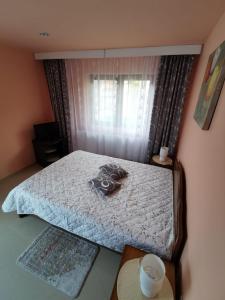 a small bedroom with a bed with a window at Apartament Catia in Călimăneşti