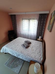 Ένα ή περισσότερα κρεβάτια σε δωμάτιο στο Apartament Catia