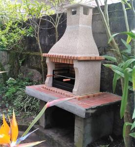 a stone oven in a garden with a plant at Casa Familiar do Porto in Porto