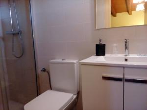 a bathroom with a toilet and a sink and a shower at CAN MENCIÓ - Plaça Major in Santa Pau +37 photos