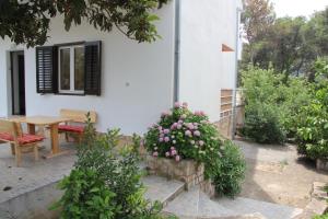 Zahrada ubytování Apartments Delic