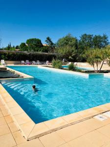 Kolam renang di atau dekat dengan Appartement dans la résidence LES MAZETS DE CAMARGUE