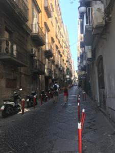 Nabolaget omkring bed and breakfast-stedet eller i nærheden