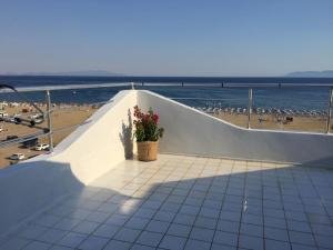 un mur blanc avec une plante en pot sur la plage dans l'établissement Amphora Hotel, à Ayvalık