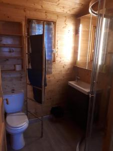 La petite salle de bains est pourvue de toilettes et d'un lavabo. dans l'établissement roulotte, à Cournonterral