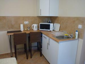 a kitchen with a counter with a sink and a microwave at Gyöngy Vendégház in Szekszárd