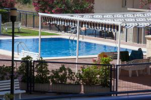 einen Pool mit Baldachin und Schwimmpoolvisor in der Unterkunft SingularStays Moncofar Beach in Moncófa