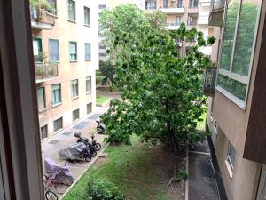 una ventana de un edificio con vistas a un árbol en Appartamento in Centro Milano, en Milán