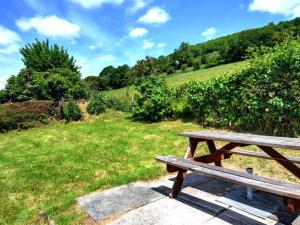 Llansantffraid Glyn CeiriogにあるHoliday Home Dolywern by Interhomeの芝生の上に座る木製のピクニックテーブル